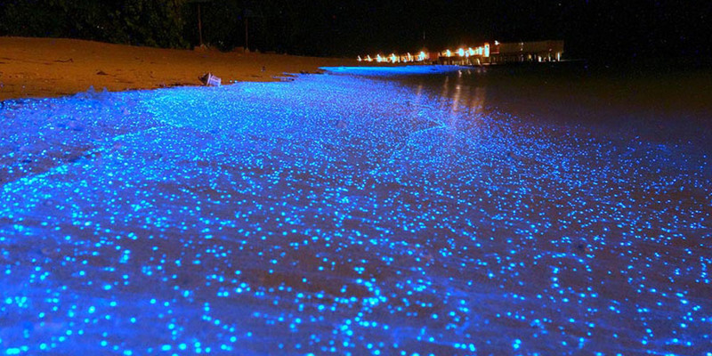 21. Светящийся фитопланктон на побережье острова Вааду, Мальдивы. интересное, удивительные фотографии, фото